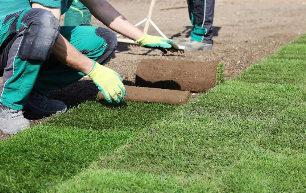 Turfing services in North London