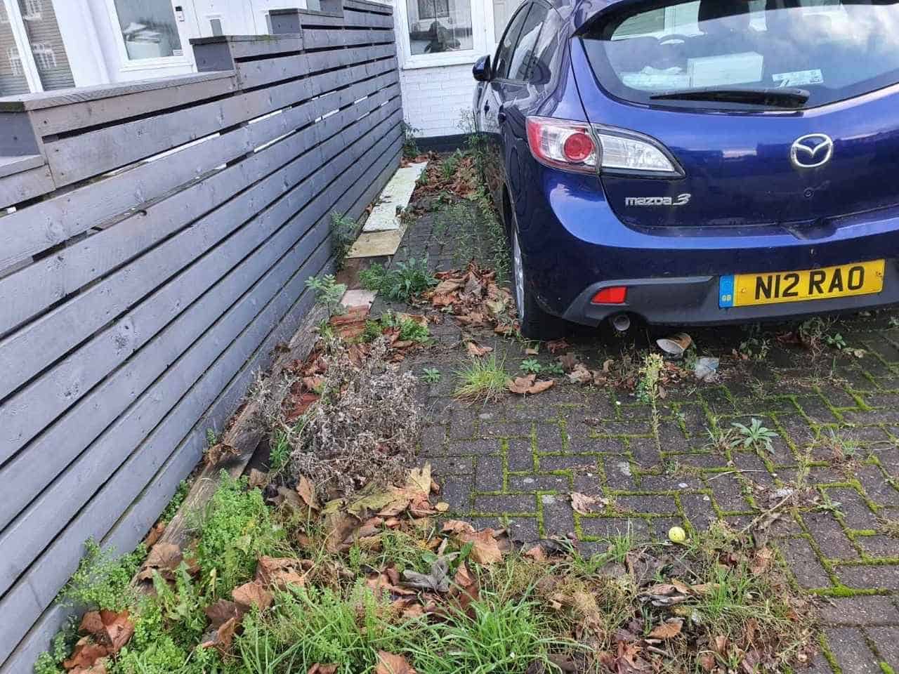 Garden Maintenance and Leaf Blowing in North Finchley N12