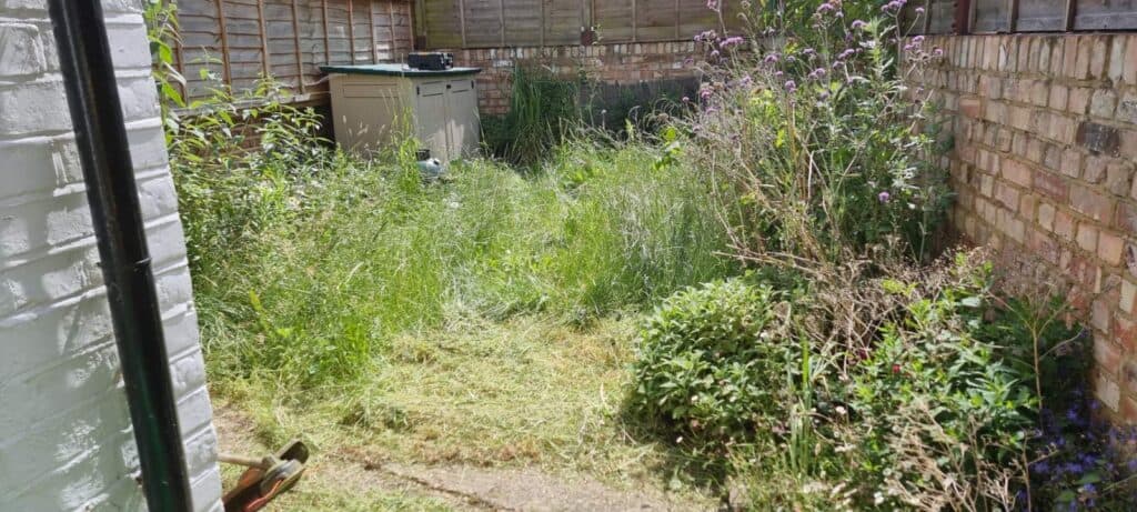 garden decking Holloway N7