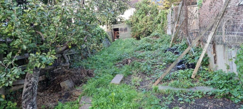 laying turf Wood Green N22