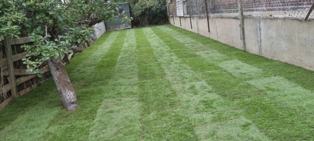 turfing Wood Green N22