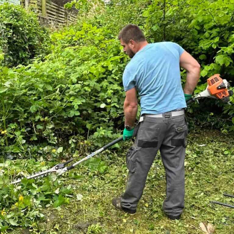 Garden Maintenance in North London | Garden Tidy-Up Services