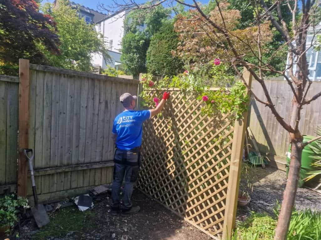 Garden Maintenance in North London | Garden Tidy-Up Services