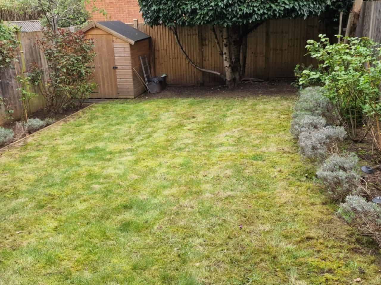 spring lawn care North London