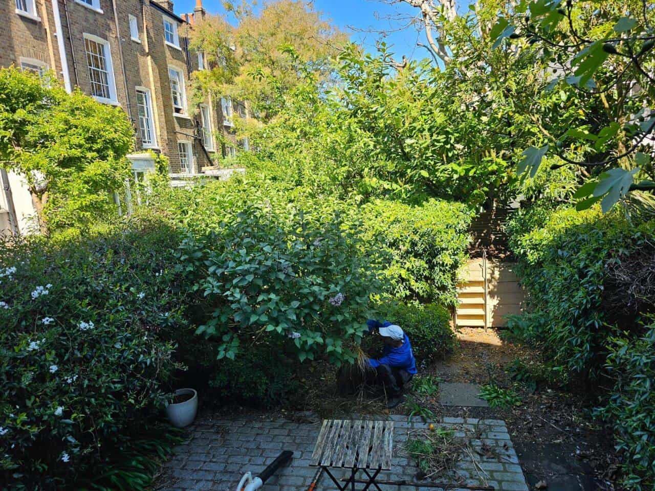 How Much Does a Gardener Cost in Mill Hill NW7?