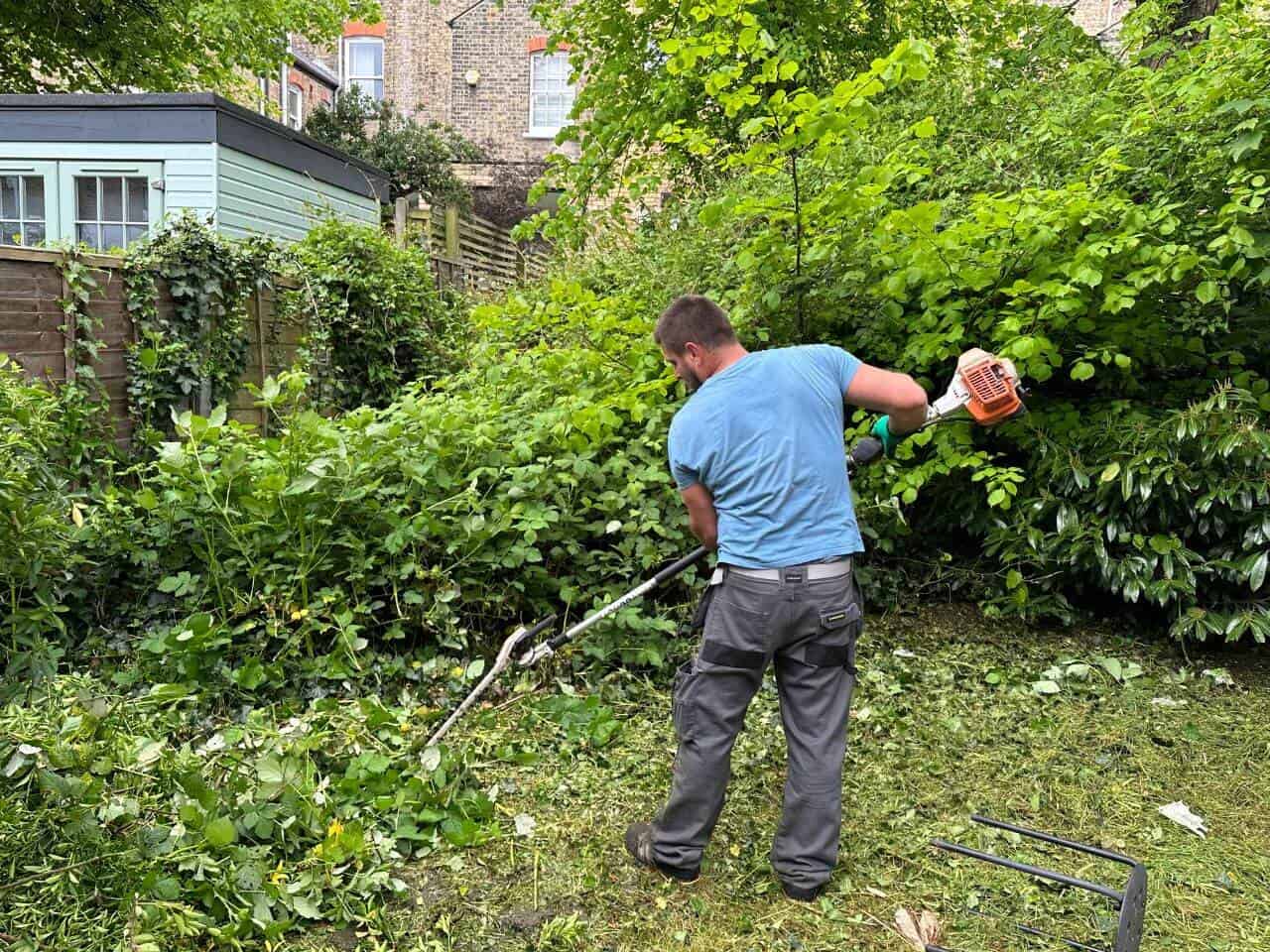 Expert Local Gardening Services in Kentish Town NW5