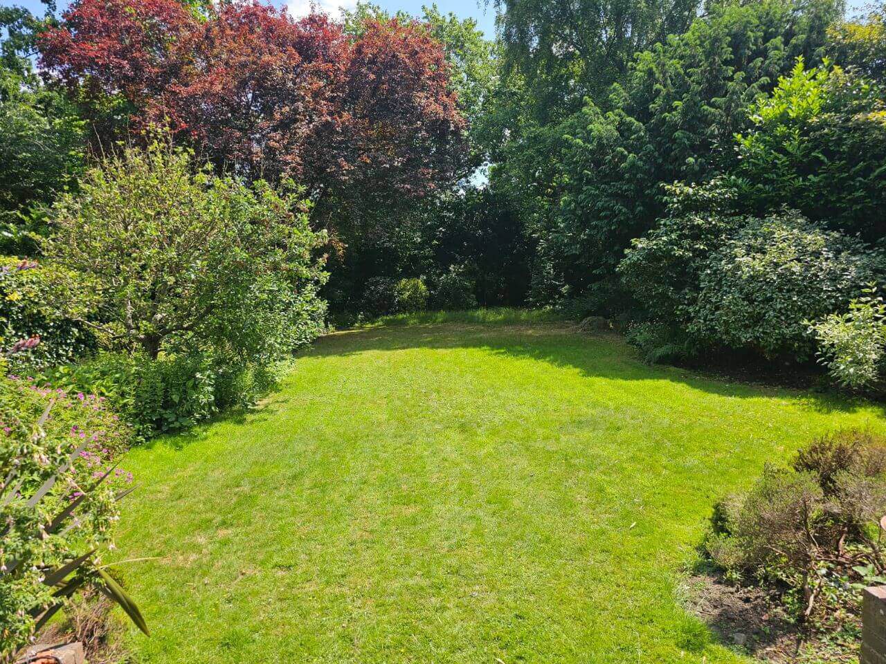 Lawn Care Services in Mill Hill NW7