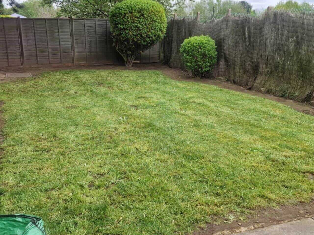 Post-Renovation Lawn Care Mill Hill NW7