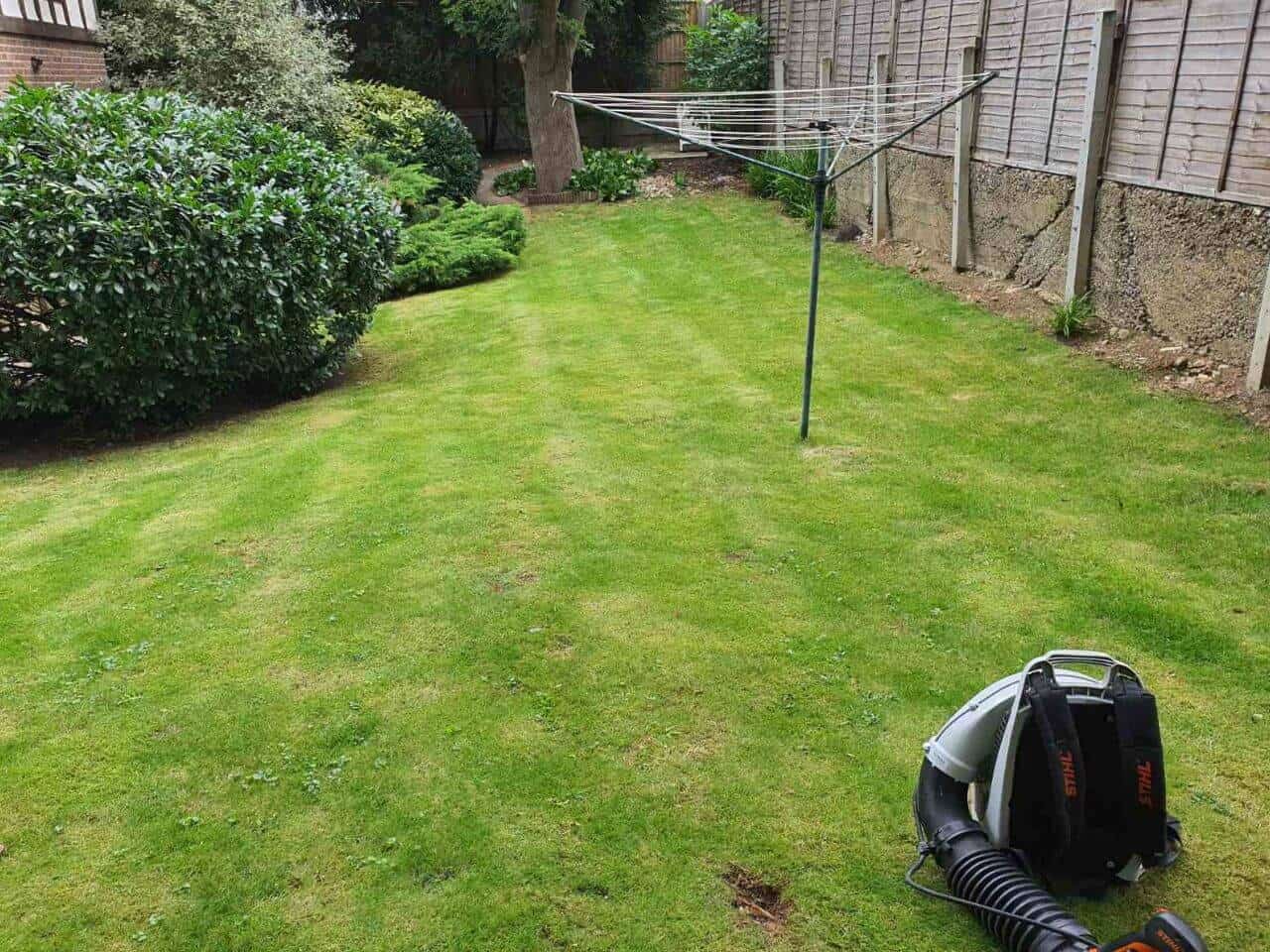 Professional Lawn Care Services in Mill Hill NW7
